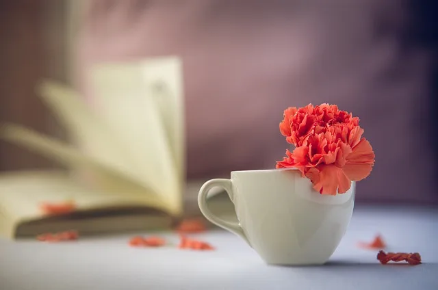 Coffee Lover? This Article Will Seal Your Bond! coffee lover this article will seal your bond